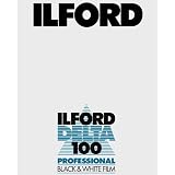 Ilford Delta 100 Professional