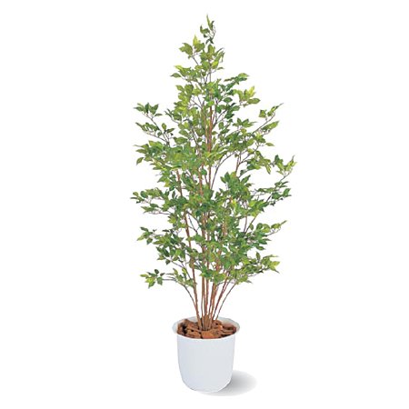 【人工植物】ベンジャミン　グリーン