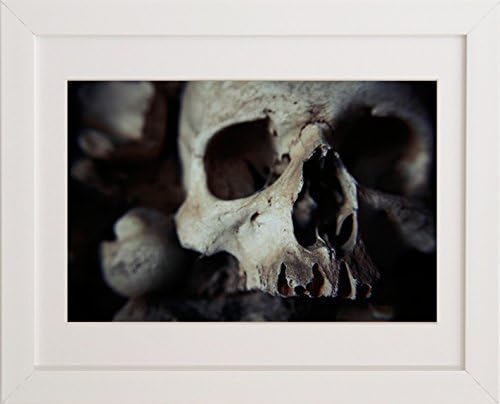 Art Photography - 'Ossis' - Gothic Skull Fine Art Photography Print by Sophie Takes Photos