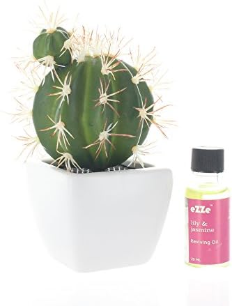 Artificial Cactus Pot Style Scented Diffuser with Reviving Diffuser Oil Air Refresher Aromatic & Deodorizing (Lily Jasmine)