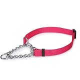 Guardian Gear Martingale Dog Collar, 13-18-Inch, Small, Raspberry