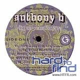 Higher Meditation [Vinyl]