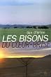 Les Bisons du Coeur-Bris�