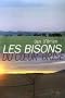 Les Bisons du Coeur-Bris�