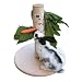 Kerbl 84408 Futterbaum, H�he 30 cm