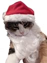 Pet Santa Claus Hat & Beard Cat & Small Dog