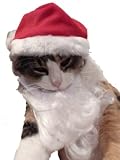 Pet Santa Claus Hat & Beard Cat & Small Dog