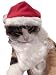 Pet Santa Claus Hat & Beard Cat & Small Dog
