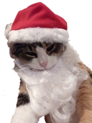 Pet Santa Claus Hat & Beard Cat & Small Dog