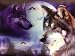 3D Effect Print Paint Plastic Picture - Wolf (size 13