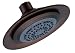 Danze D462001RB 305 Series Six-Inch Water Saver Showerhead, Oil Rubbed Bronze