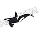 Killer Whale Decal, Orca Whale Vinyl, for car, Window, Laptop Black