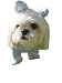PAWS UNLEASHED - Blue Bunny Pajama Costume - Size 8