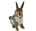 Blacktail Jack Rabbit Plush From Hansa, 10 Inches (Stuffed Jackrabbit Bunny)