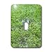 Florene Animals - Gray Squirrel Looking Around Grassy Field - Light Switch Covers - single toggle switch