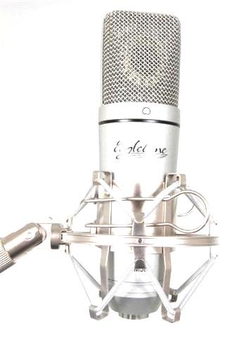 Eagletone UM30 Studio USB Cardioid Condenser Microphone