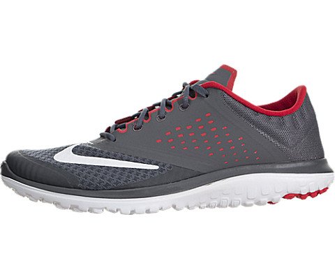 Nike Men's FS Lite Run 2 Running Shoe