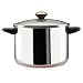 Paula Deen Stainless Steel 8 Quart Covered Stockpot