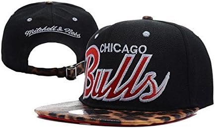NBA Chicago Bulls Taylor Closer Stretch Snapback Cap Hat