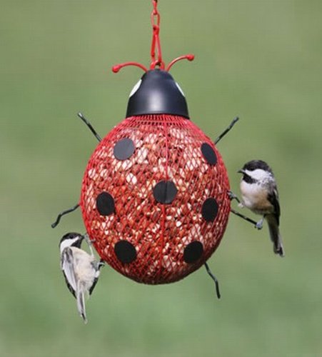 Gardman BA01328 Ladybug Sunflower Peanut Feeder