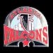 Atlanta Falcons Pin - NFL Football Fan Shop Sports Team Merchandise