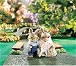 CALICO CRITTER COTTONTAIL RABBIT GRANDPARENTS