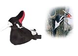 Plush Ivory Billed Woodpecker Audubon Bird 6