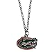 NCAA Siskiyou Sports Fan Shop Florida Gators Chain Necklace 22 inch Team Color