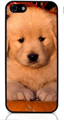 Golden Retriever Dog Hard Case for Apple iPhone 5/5S ( Sugar Skull )