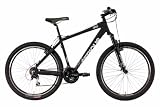 SERIOUS One (2011) VTT Dirt