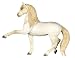 Andalusian Stallion
