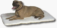 General Cage 10012 Bully Bed Two-Sided Faux Lambskin Dog Crate Bed – 12 X 20