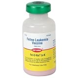 41YmhnG00xL. SL160  Feline Leukemia