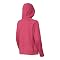 The North Face Crescent Sunshine Hoodie - Women's