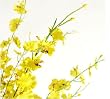 Artifical Flora Dancing Lady Orchid - Flower 6pcs