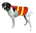 Remington Orange and Yellow Large Safety Vests for Dogs