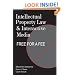 Intellectual Property Law and Interactive Media (Digital Formations)