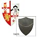 Battle Ready Medieval Crusader Knight Shield w/ Chain