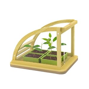 Hape Eco Greenhouse In Bamboo