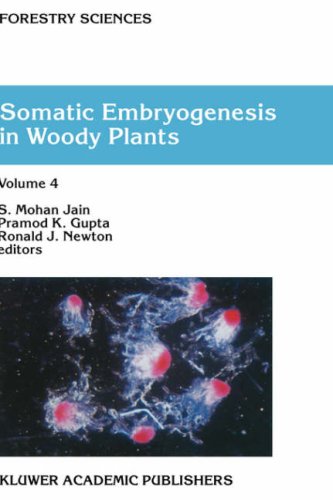 Somatic Embryogenesis in Woody Plants: Volume 5 (Forestry Sciences) under Physiology in The Books Store