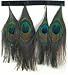 Peacock Feather Fringe - 5in 1 Yard