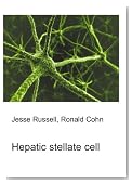 Hepatic stellate cell