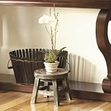 phalaenopsis pots:Phalaenopsis Orchid In Pot- Ballard Designs