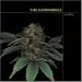 Cannabible Deluxe by Jason King ISBN 1580088635