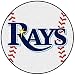 Tampa Bay Rays 29 Baseball Mat (Quantity of 1)