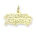 14K Carolina Panthers Logo Large Charm