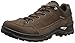 Lowa Men's Renegade III GTX LO Hiking Shoe