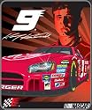 Kasey Kahne Royal Plush Raschel NASCAR Blanket (Full Throttle) by Northwest (50"x60")