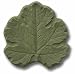 Garden Molds X-BL8029 Big Leaf Stepping Stone Mold