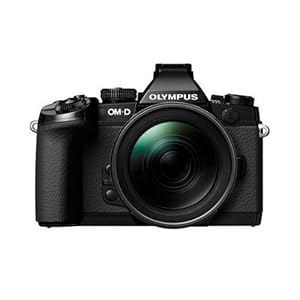 Olympus OM-D E-M1 Mirrorless Camera with Olympus M. Zuiko Digital ED 12-40mm f/2.8 PRO Lens